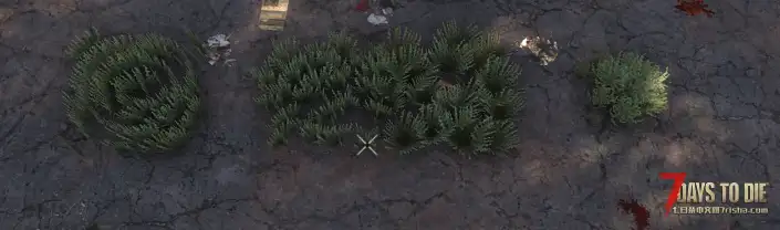 【装饰花卉MOD】V2.4 添加了85个装饰花卉-单机服务器可用