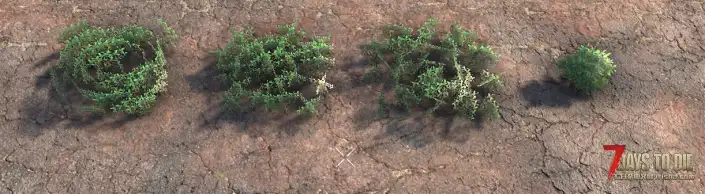 【装饰花卉MOD】V2.4 添加了85个装饰花卉-单机服务器可用