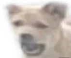 好運