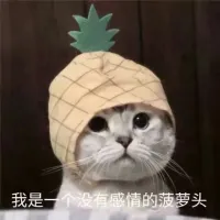 阿巴一阿巴