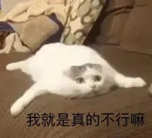 夜舞匹诺曹