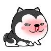 新叶之城